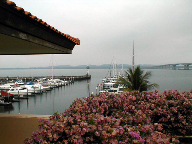 Raffles Marina2