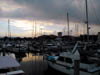 Raffles Marina3