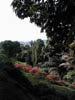 Mount Faber