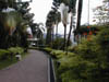 Mt. Faber cable cars