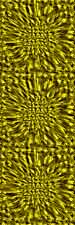 chrsanthemum pattern