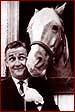 mr. ed & friend