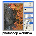 a default photoshop workflow