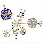 rightreading as a graph