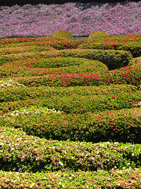 central garden maze at getty center