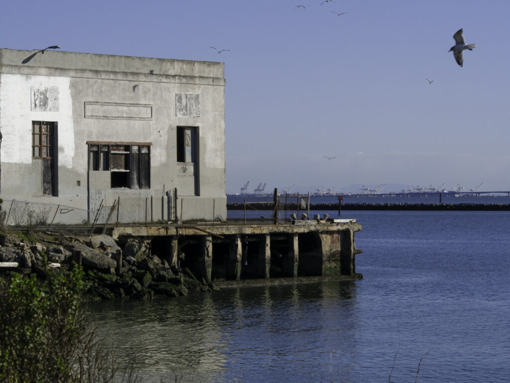 Cranes at the Port of Oakland in the distance, behind an abandoned Ferry Point building, with gulls overhead.