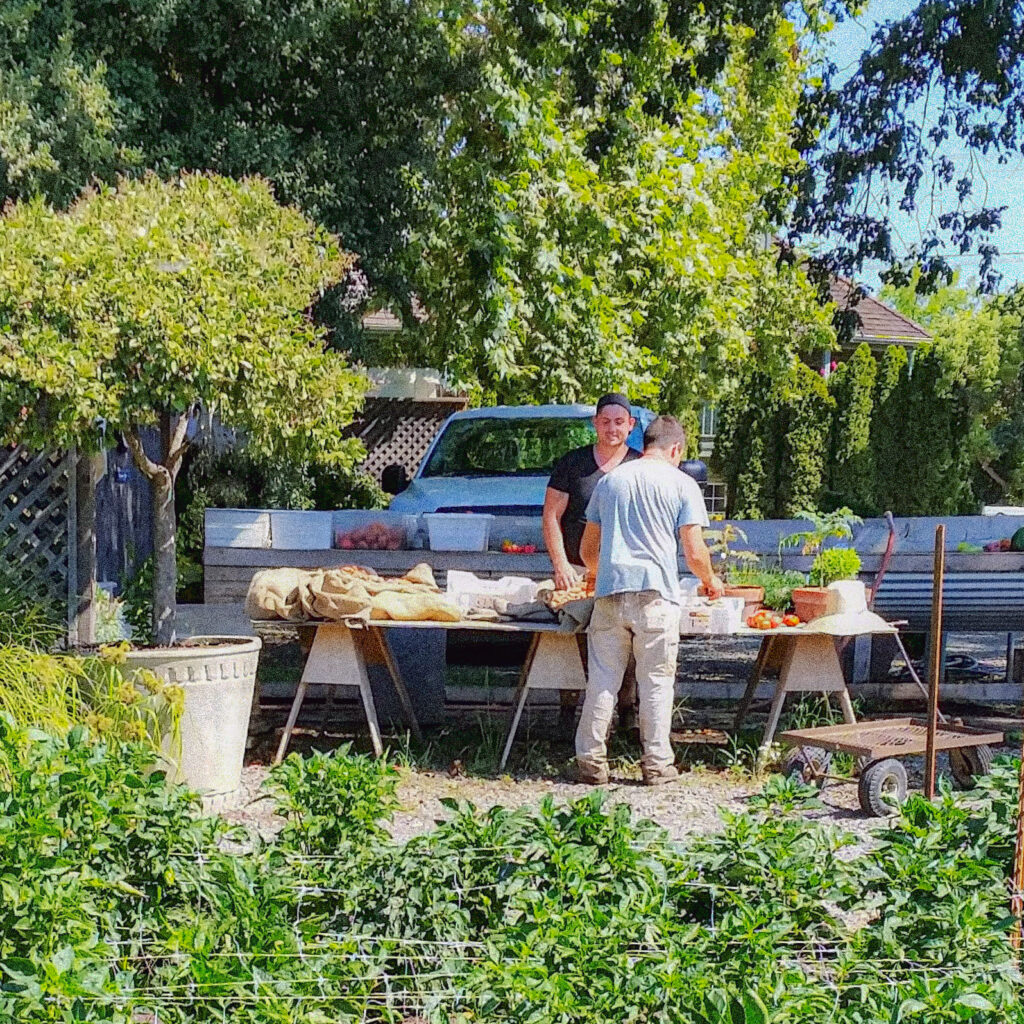 Workers at a sawhorse table in the garden