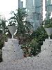 P1010001_edited